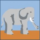 Canevas Elephant