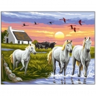 Canevas Complet Paysage Chevaux blanc