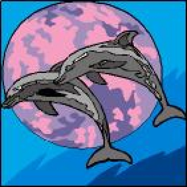 Canevas Couple dauphin
